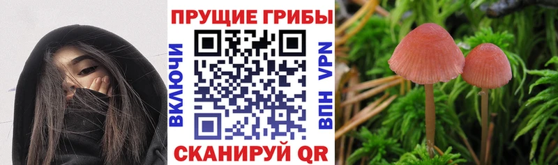 Галлюциногенные грибы MAGIC MUSHROOMS  Купить  Асино 